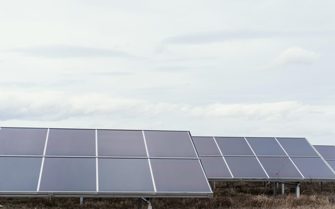 La importancia de la vigilancia presencial en parques de placas fotovoltaicas